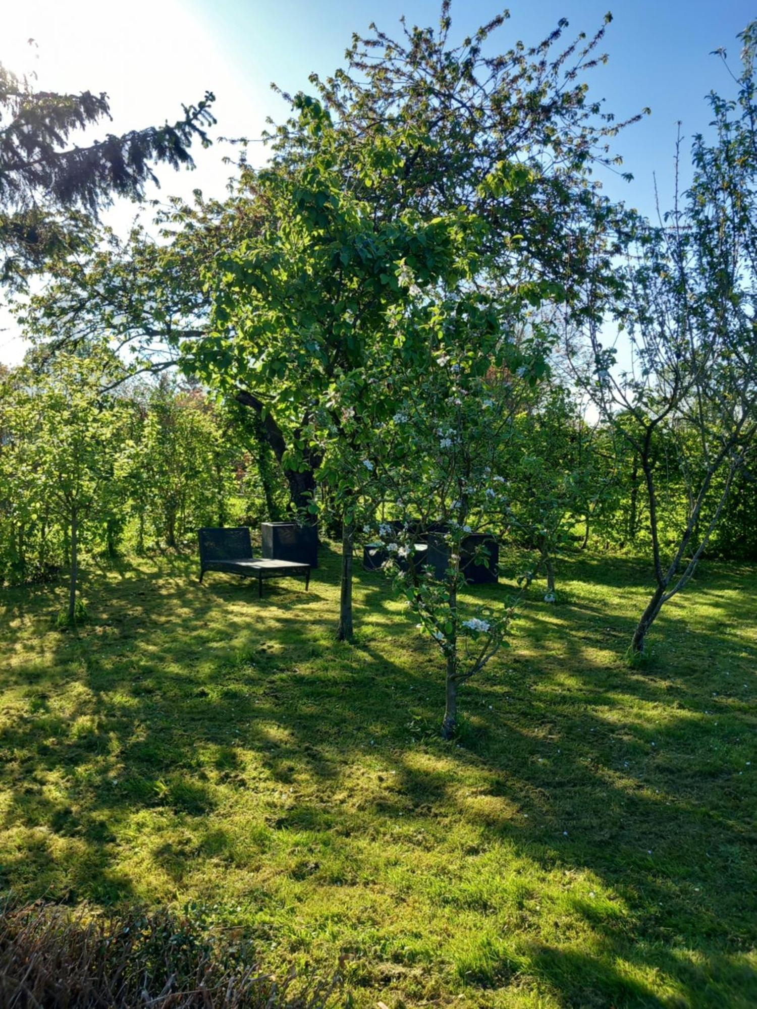 Les Oliviers De La Baie Gite- Le Relais De La Baie Millencourt-en-Ponthieu Bagian luar foto