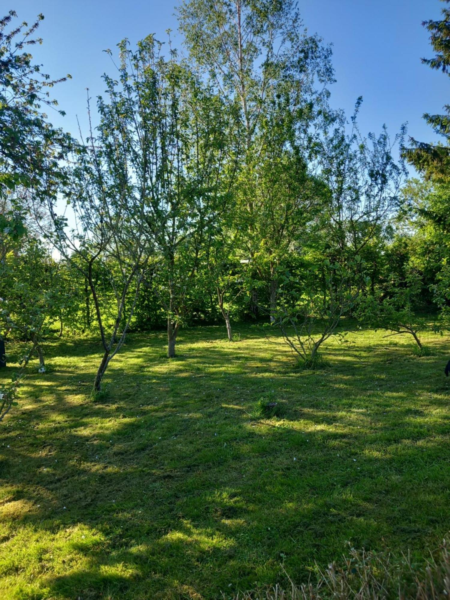 Les Oliviers De La Baie Gite- Le Relais De La Baie Millencourt-en-Ponthieu Bagian luar foto